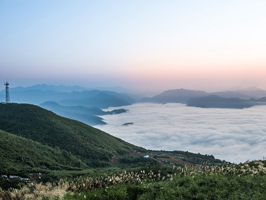 云臺茶旅